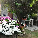 Casa La Rosa