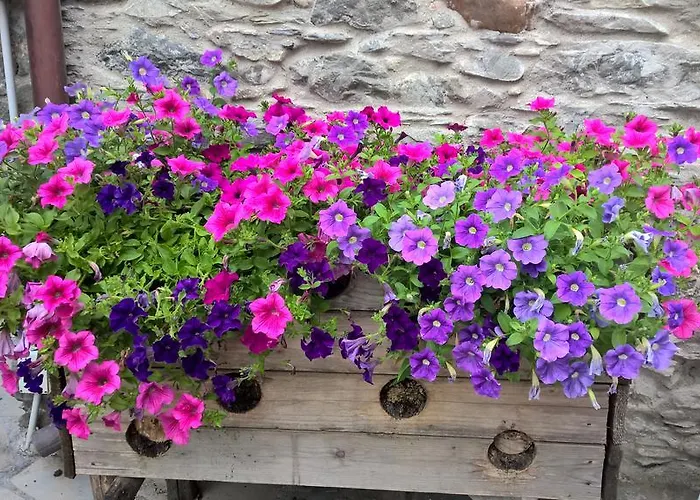 Semesterbostad Casa La Rosa Coreglia Ligure