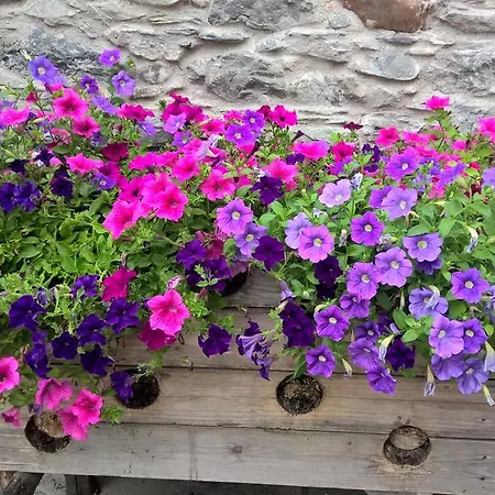 Σπίτι διακοπών Casa La Rosa Coreglia Ligure